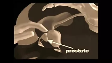 Pervert Proxy Paige fetishist Evan Stone برازرز پورن کے ساتھ fucks.