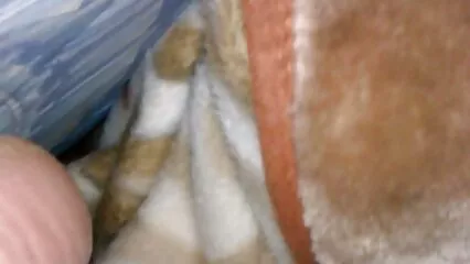 ایک نوجوان نوکرانی کی ڈائری فیلم پورن کامل - یہ فلم آن لائن Porn.FLV پر دیکھیں۔