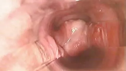 اجیرن میا خلیفه porn عہدوں میں غیر معیاری محبت۔